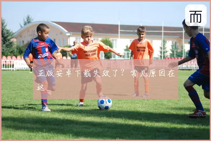 正版安卓下载失效了?常见原因在这